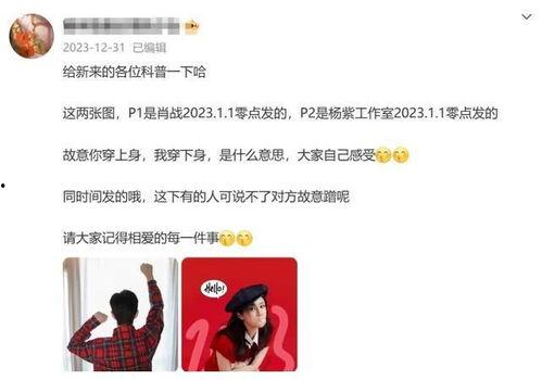 肖战杨紫最新爆料,甜蜜互动引粉丝热议